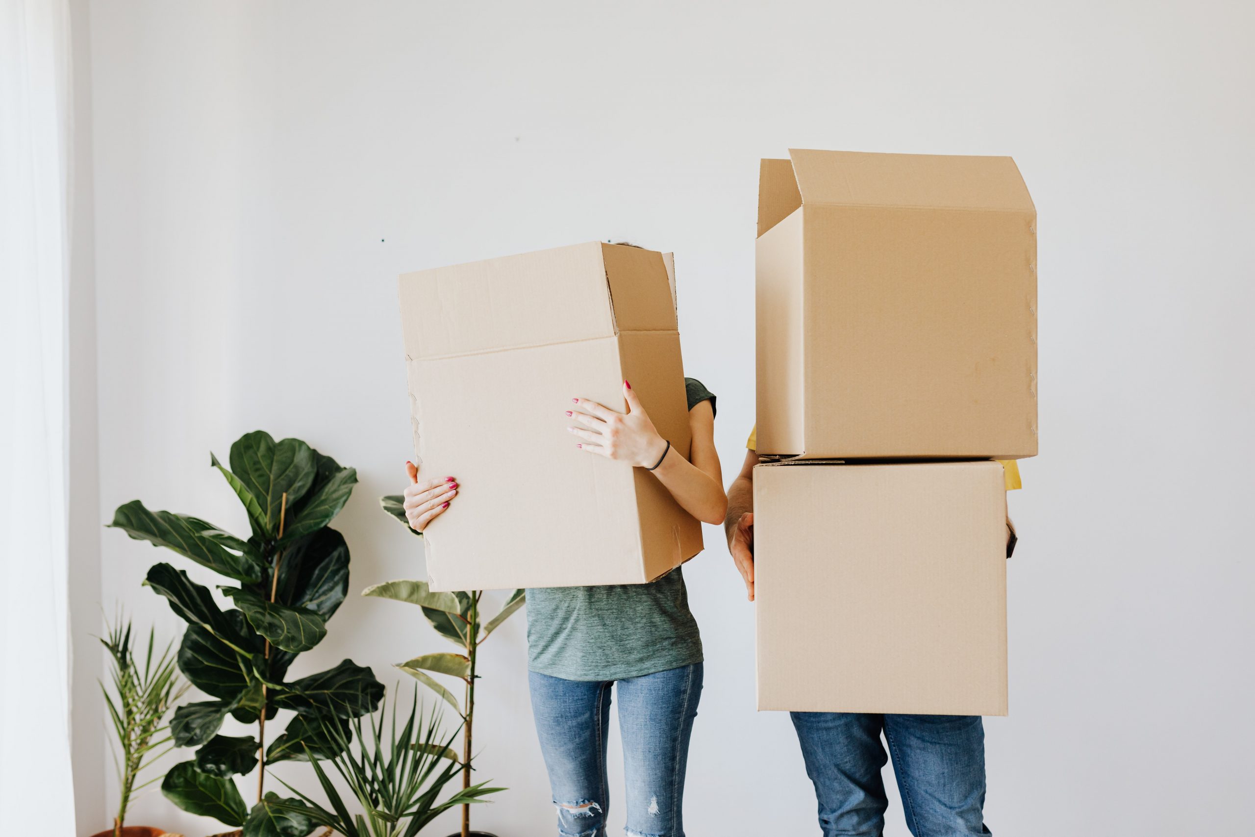 63 Cohabitation & Property Division